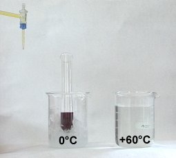 Acetessigester-Lsung nach Eisen(III)-Zugabe: Die Lsung wird durch die Komplexe rotviolett gefrbt