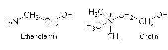 Ethanolamin / Cholin