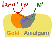 Amalgam + Gold