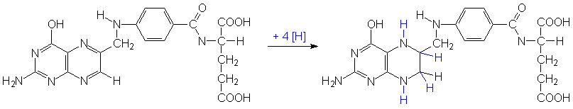 Tetrahydrofolsäure