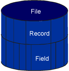 Flat-File